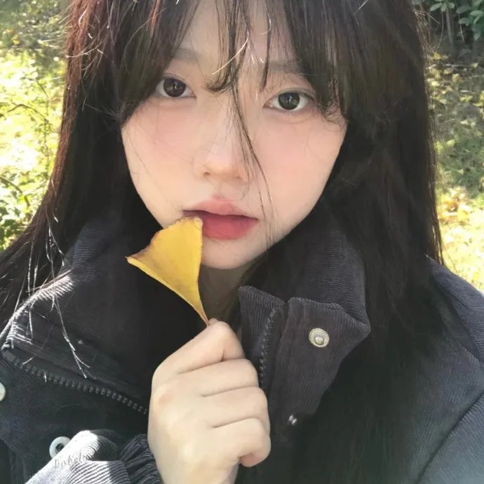 未来的回忆